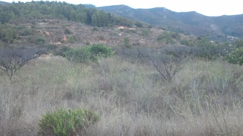 Terreno en Gandia, Valencia en venta - Foto principal - Imagen 1 de 5