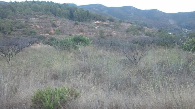 Más detalles de Terreno en venta