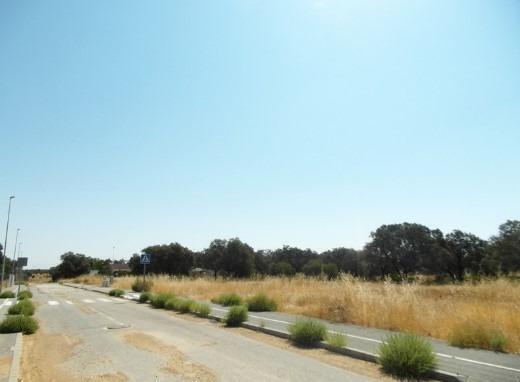 Calle Triguero, 1, Sanlúcar la Mayor, Sevilla en venta Plano del sitio- Imagen 1 de 5