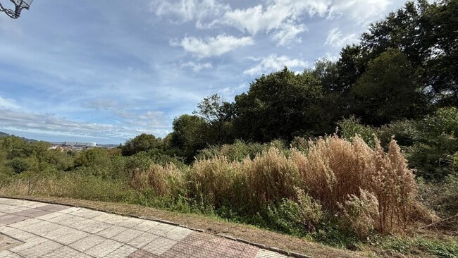 Más detalles de Terreno en venta