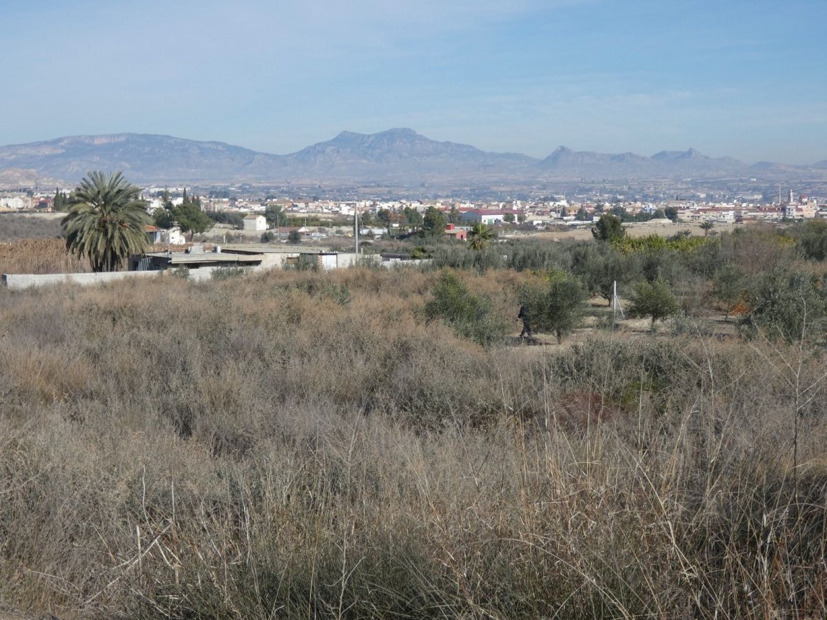 Terreno en Ceutí, Murcia en venta Plano del sitio- Imagen 1 de 4