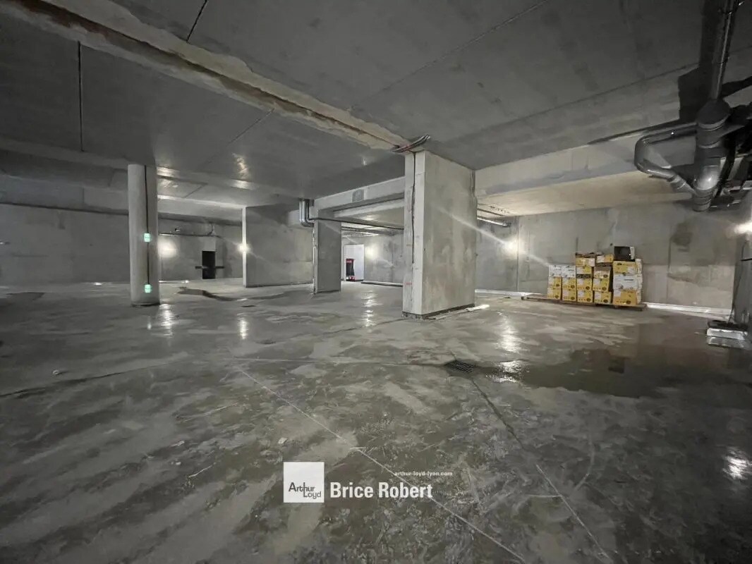 Flex en Villeurbanne en venta Foto del interior- Imagen 1 de 5