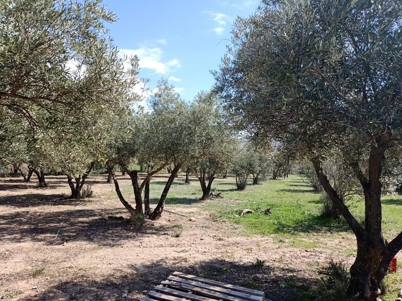 Pago Acequia Leos, Fondón, Almería en venta - Foto del edificio - Imagen 2 de 2