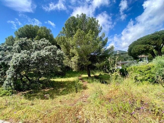 Más detalles de Terreno en venta