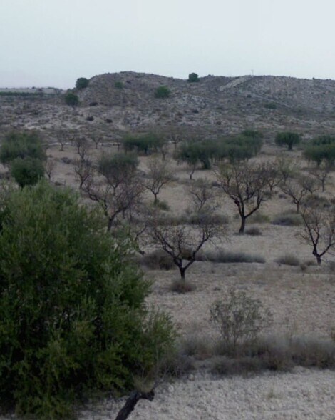 Terreno en Molina de Segura, Murcia en venta - Foto del edificio - Imagen 1 de 5