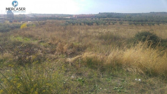 Más detalles de Senda Zalagarda, Cabanillas del Campo - Terreno en venta