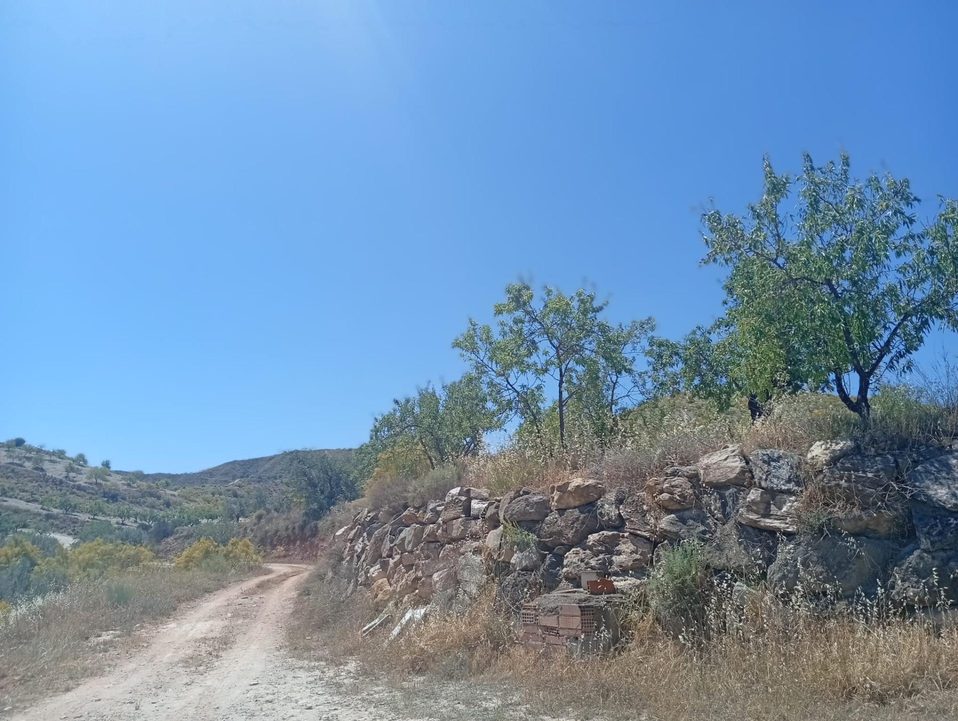 Terreno en Cantoria, Almería en venta Vista aérea- Imagen 1 de 13