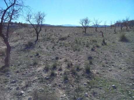 Terreno en Calasparra, Murcia en venta - Foto del edificio - Imagen 2 de 4