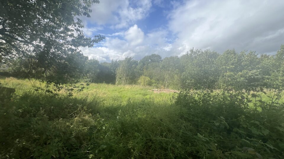 Bridgend Vw, Carluke en venta - Otros - Imagen 3 de 4