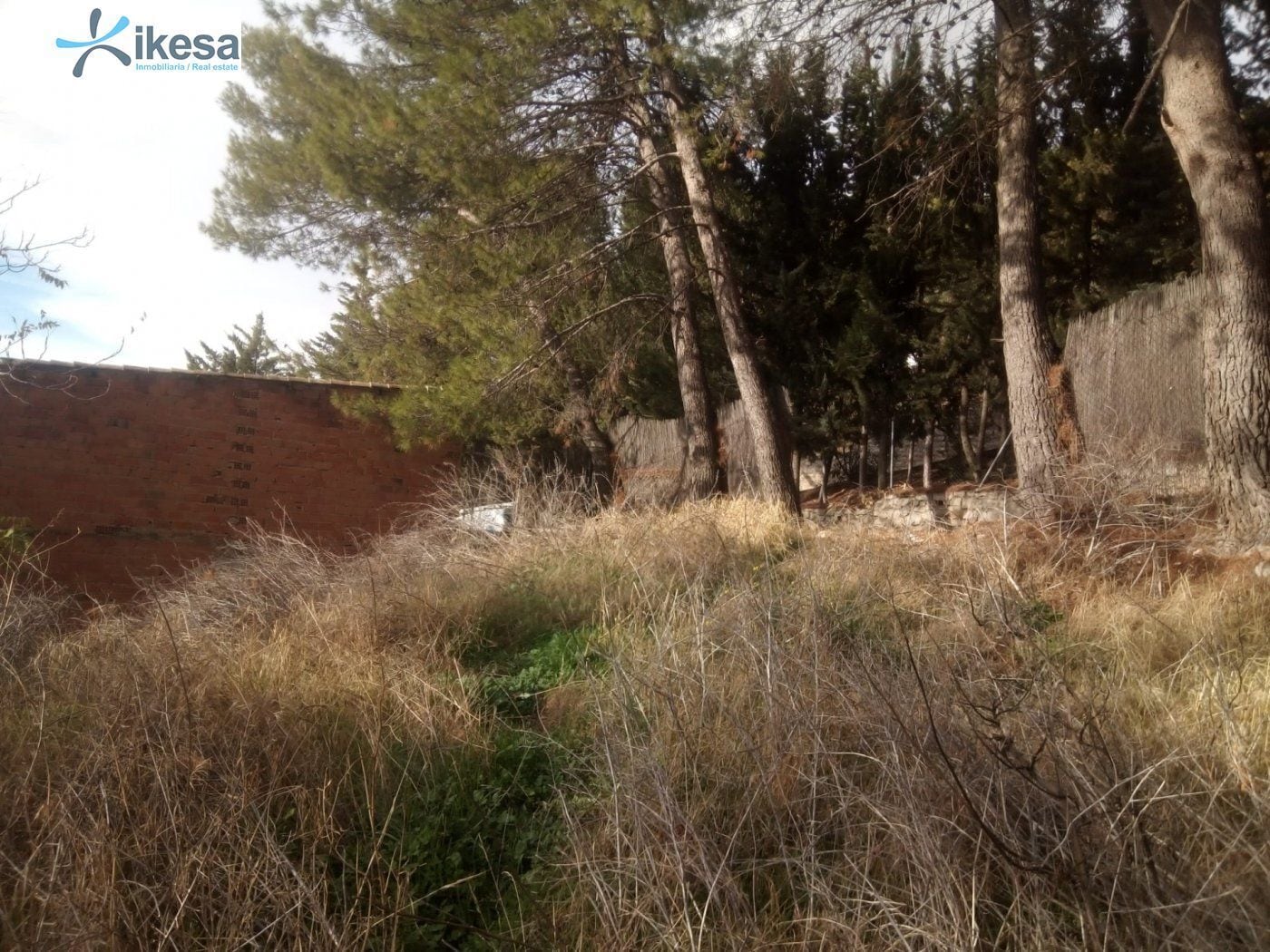 Terreno en Jamilena, Jaén en venta Foto del edificio- Imagen 1 de 10