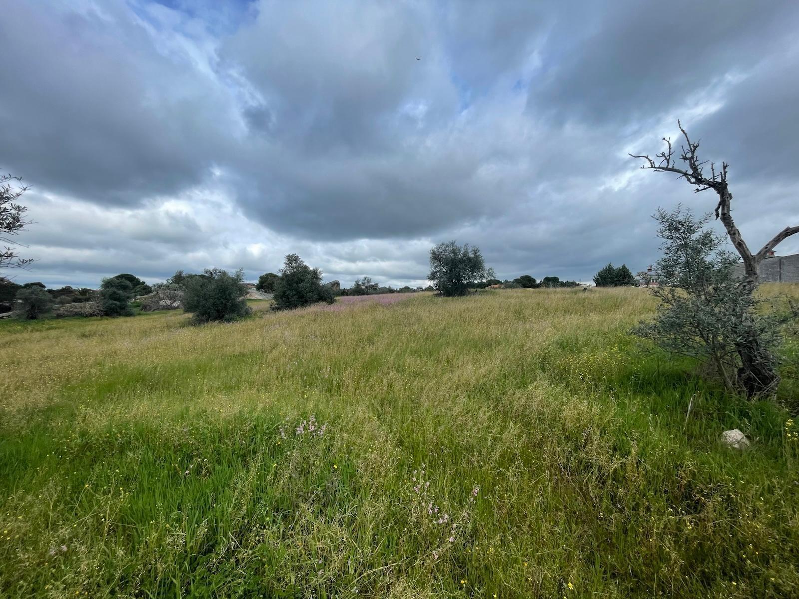 Terreno en Malpartida de Cáceres, Cáceres en venta Vista aérea- Imagen 1 de 6