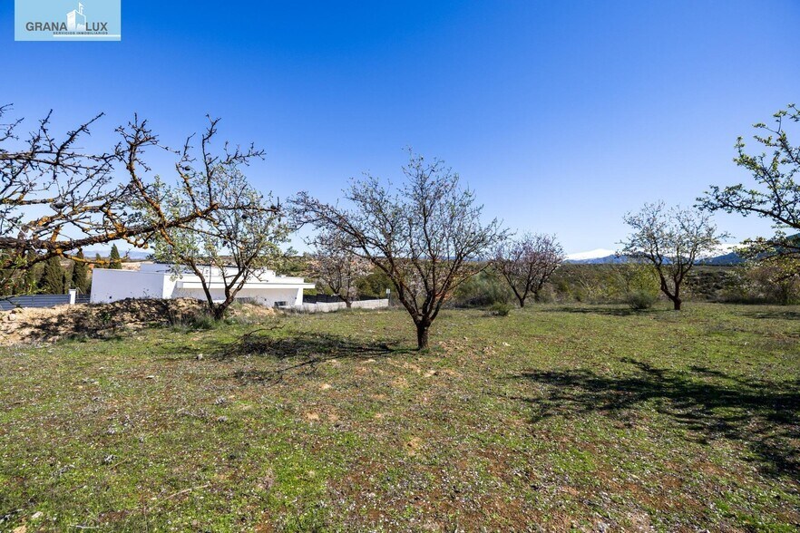 Nevada, 4, Dílar, Granada en venta - Foto del edificio - Imagen 3 de 21
