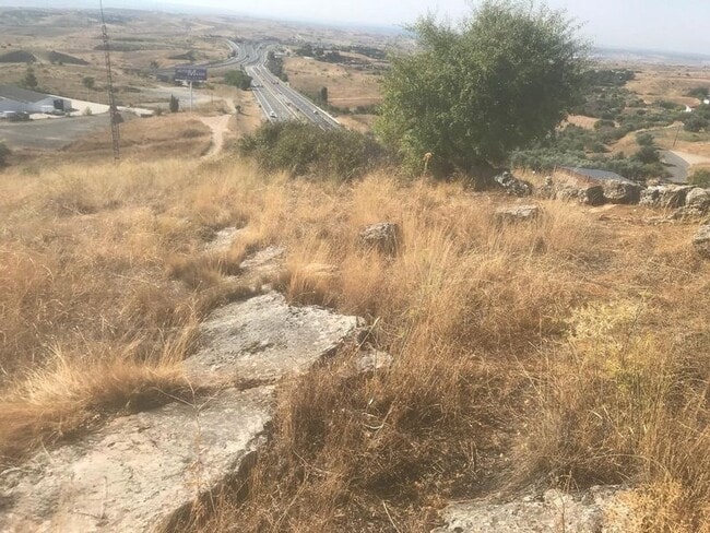 Más detalles de Polígono 19, El Molar - Terreno en venta