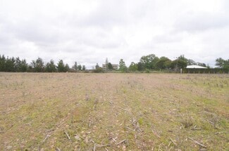 Más detalles de Terreno en alquiler