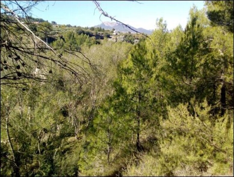 Proc. Simplificado, Penàguila, Alicante en venta - Foto principal - Imagen 3 de 6