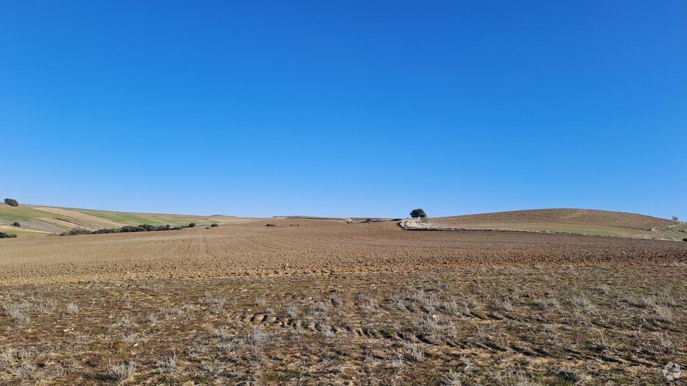 Terrenos en Segovia, Segovia en venta - Foto del edificio - Imagen 3 de 11