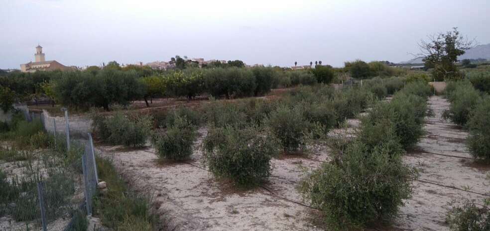 Terreno en Cehegín, Murcia en venta - Foto del edificio - Imagen 2 de 37