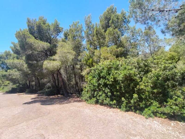 el Pinar, Alcalà de Xivert, Castellón en venta - Foto principal - Imagen 2 de 9