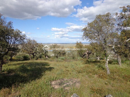 Terreno en Sierra de Fuentes en venta Foto del edificio- Imagen 1 de 9