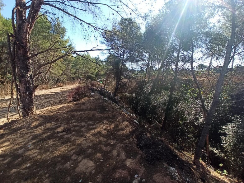 Terreno en Alberic, Valencia en venta - Foto principal - Imagen 3 de 6