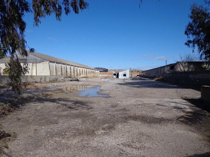 Terreno en Cáceres, Cáceres en venta - Foto del edificio - Imagen 2 de 6
