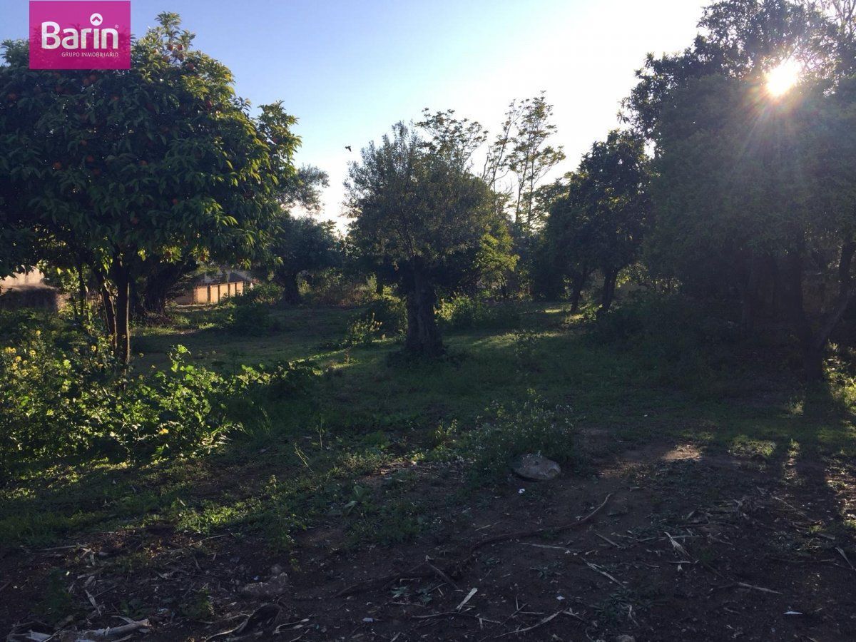Terreno en Córdoba, Córdoba en venta Foto principal- Imagen 1 de 7