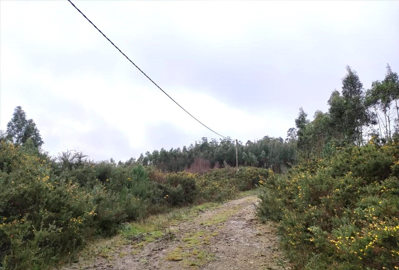 Terreno en A Coruña en venta Foto del edificio- Imagen 1 de 17