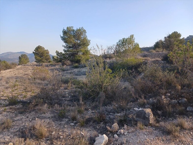 Proc. Simplificado, MONÒVER, Alicante en venta - Foto principal - Imagen 3 de 20