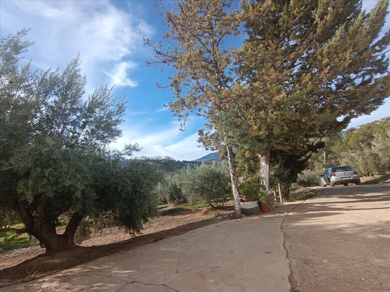 Terreno en Fuensanta de Martos en venta - Foto del edificio - Imagen 3 de 3