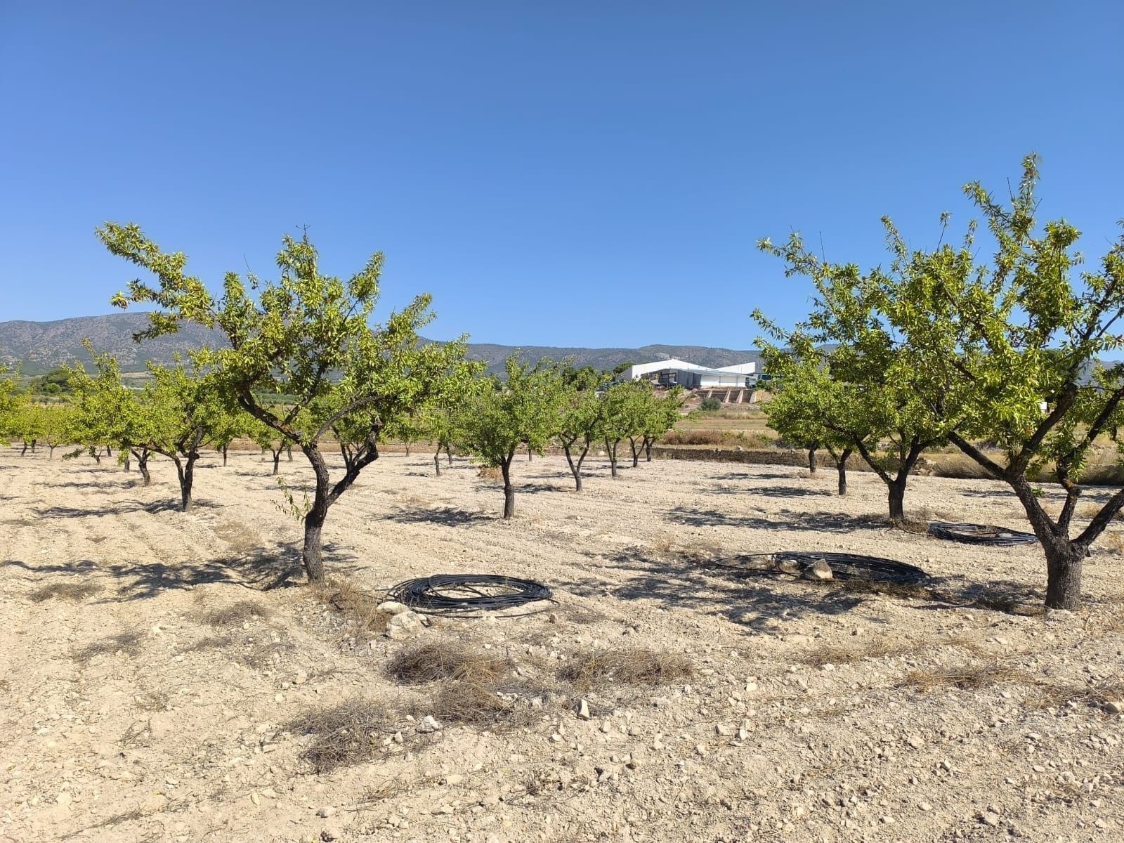 Valenciana, MONÒVER, Alicante en venta Vista aérea- Imagen 1 de 10