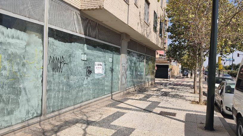 Avenida Alierta, Cesareo, Zaragoza, Zaragoza en venta - Foto del edificio - Imagen 2 de 4