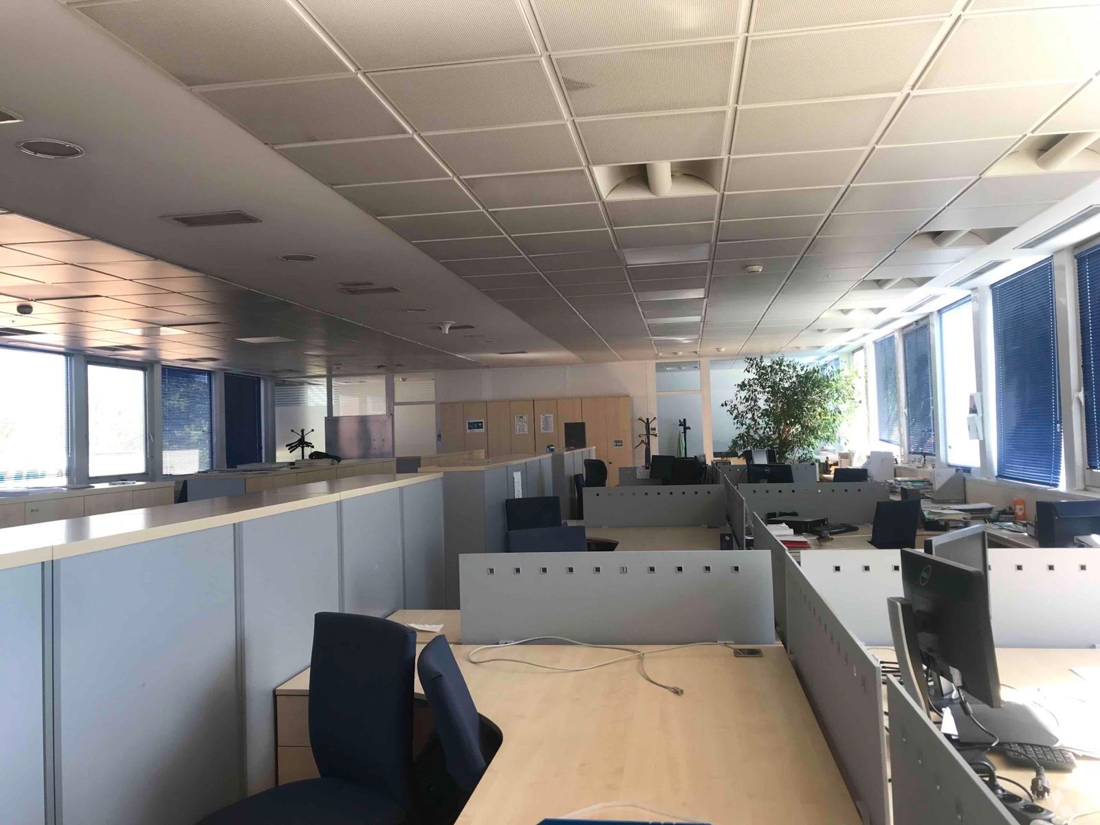 Oficina en San Sebastián de los Reyes, Madrid en alquiler Foto del interior- Imagen 1 de 2