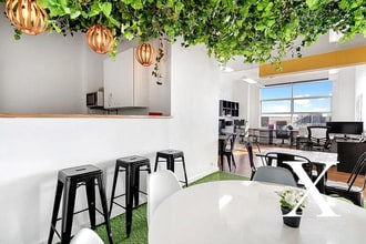 410 Elizabeth St, SURRY HILLS en alquiler Foto del interior- Imagen 2 de 8