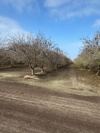 Más detalles para 5100 S Pratt St, Tulare, CA - Terrenos en venta