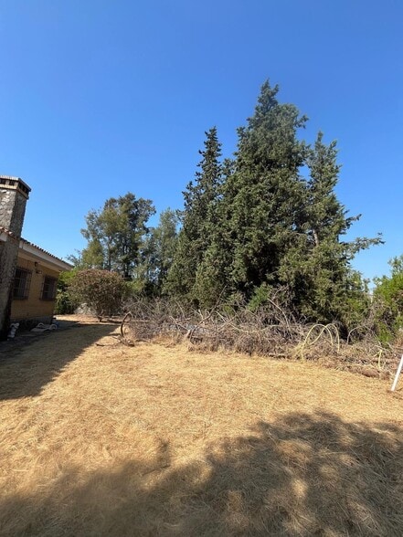 Terreno en Sanlúcar la Mayor, Sevilla en venta - Foto del edificio - Imagen 2 de 11
