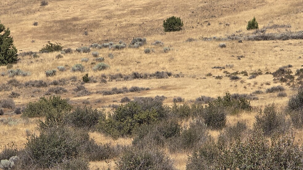 lot 400 Uhrmann Rd Rd, Klamath Falls, OR en venta - Foto del edificio - Imagen 2 de 10