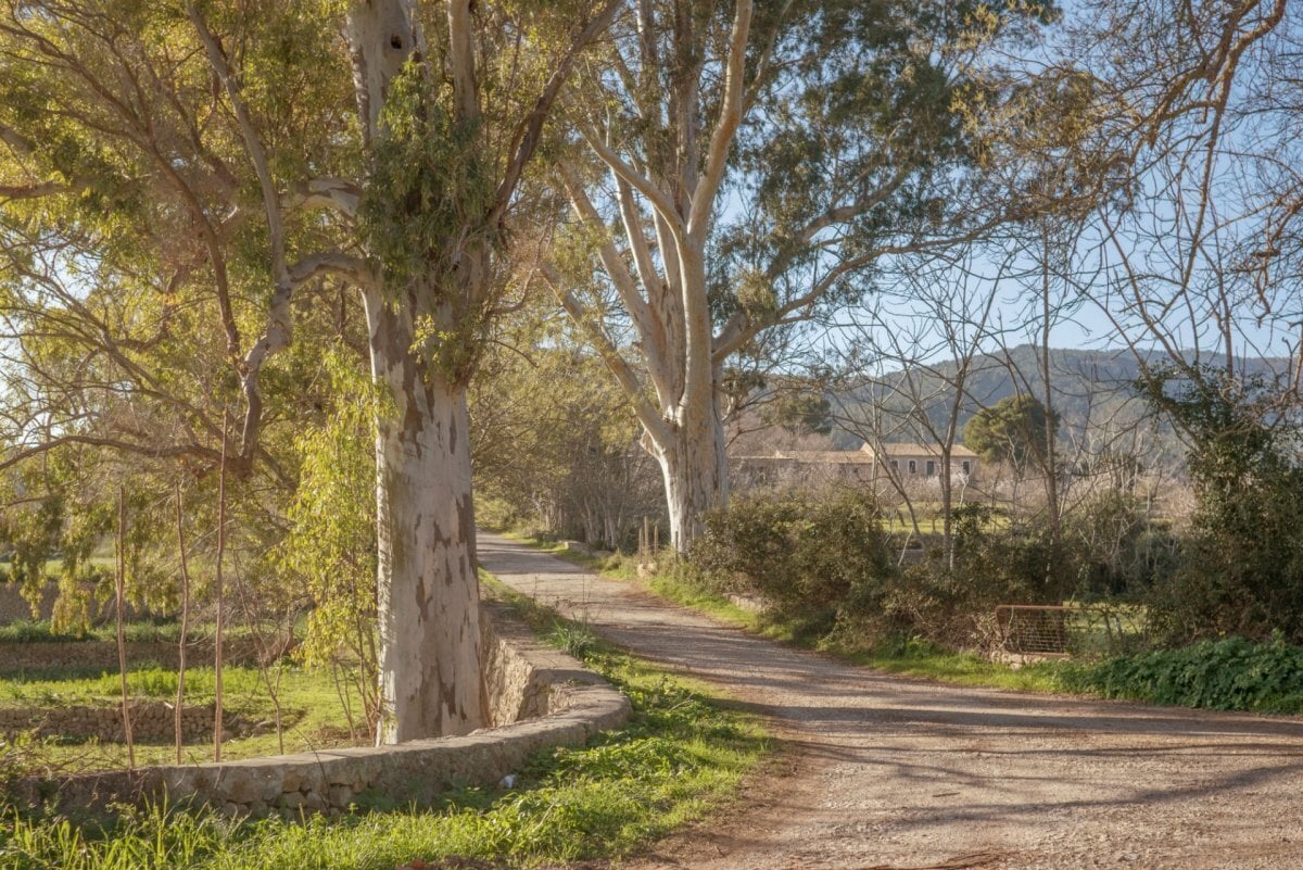 Terreno en Palma en venta Foto del edificio- Imagen 1 de 40