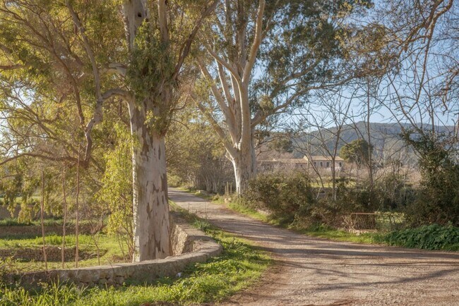 Más detalles de Terreno en venta