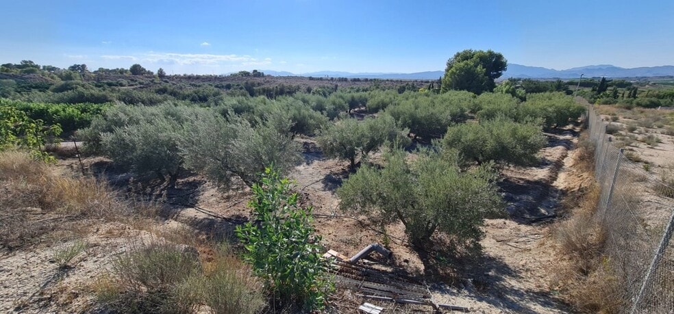 Terreno en Molina de Segura, Murcia en venta - Foto del edificio - Imagen 2 de 2