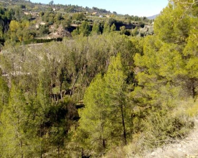 Proc. Simplificado, Penàguila, Alicante en venta Foto principal- Imagen 1 de 7