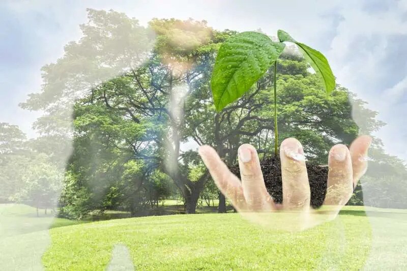 22-24 Rue Des Osiers, Coignières en alquiler - Foto del edificio - Imagen 2 de 8
