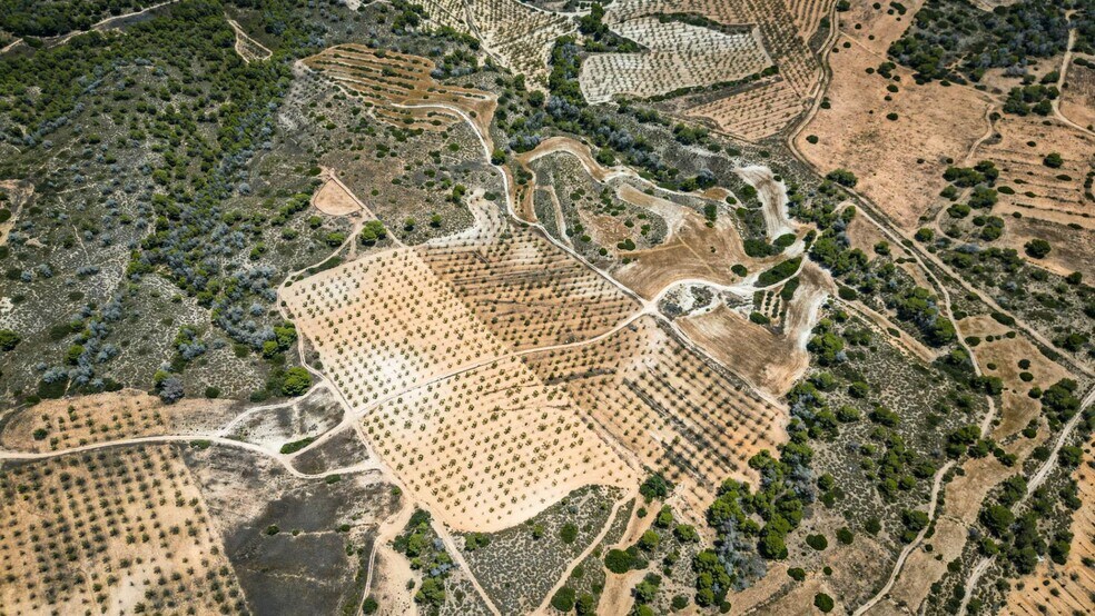 Terreno en Pilar de la Horadada, Alicante en venta - Vista aérea - Imagen 3 de 6