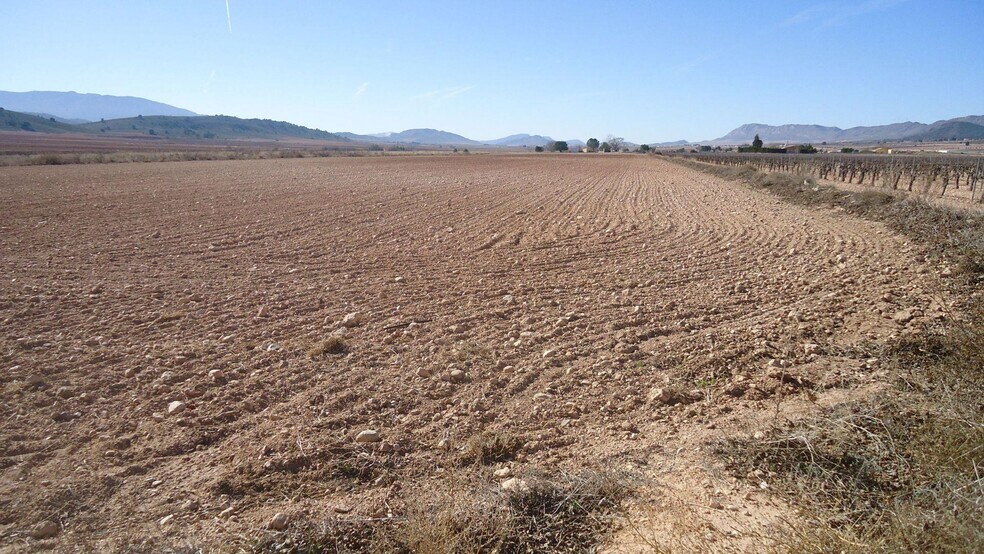 Terreno en Yecla, Murcia en venta - Foto del edificio - Imagen 2 de 4