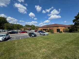 Más detalles para 19710 Governors Hwy, Flossmoor, IL - Oficinas en venta