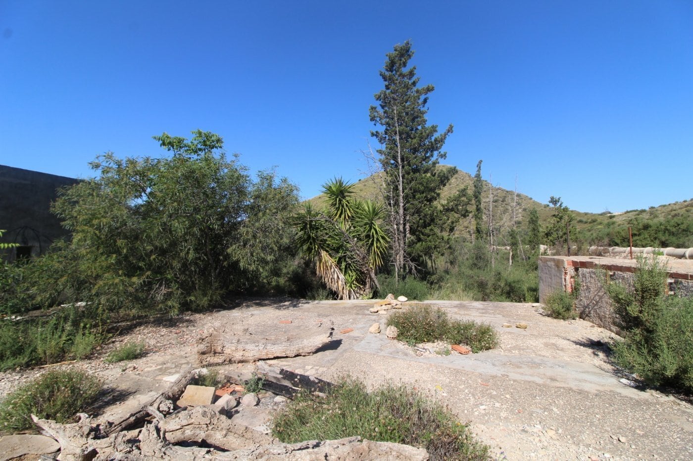 Local en Monforte del Cid en venta Foto del edificio- Imagen 1 de 10