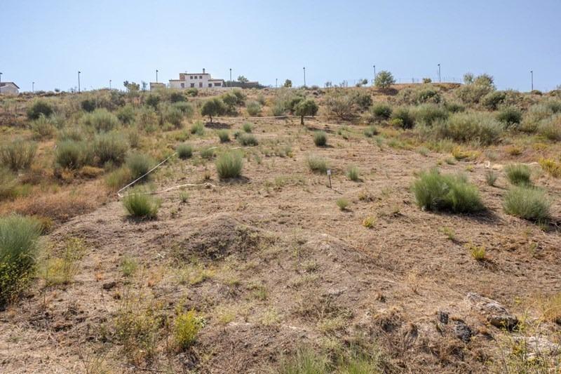 Calle Gredos, 168, La Zubia, Granada en venta - Plano del sitio - Imagen 3 de 16