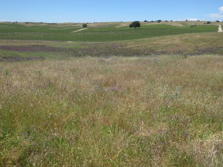 Gate 4 Way, Paso Robles, CA en venta - Foto del edificio - Imagen 3 de 9