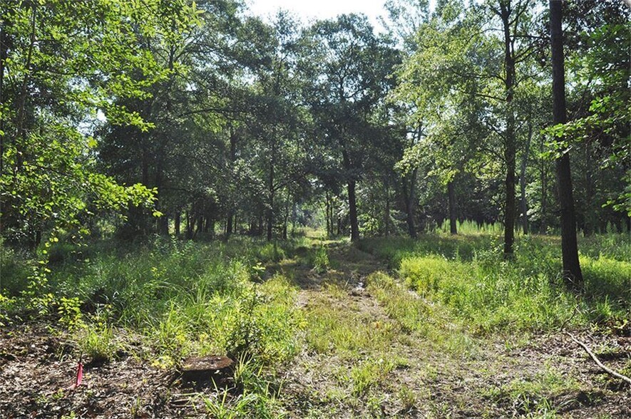 10955 DAW COLLINS Rd, Splendora, TX en alquiler - Foto principal - Imagen 1 de 2