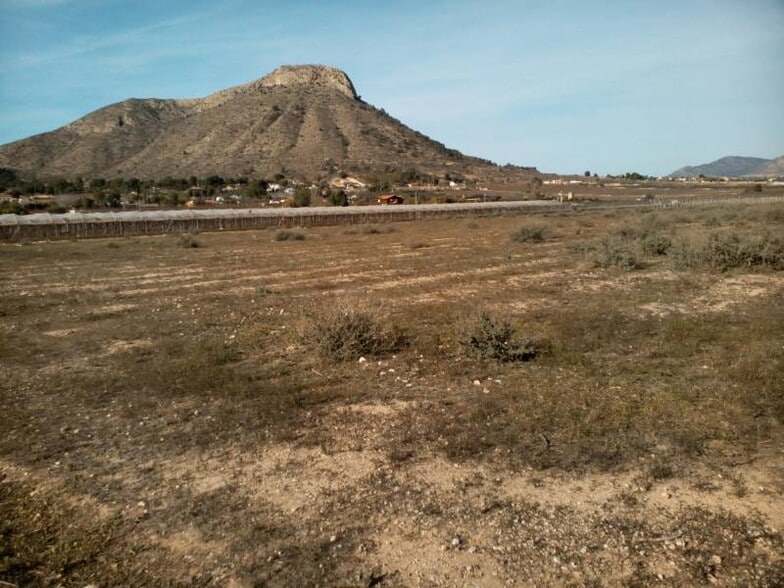 Terreno en Aspe, Alicante en venta - Vista aérea - Imagen 1 de 2