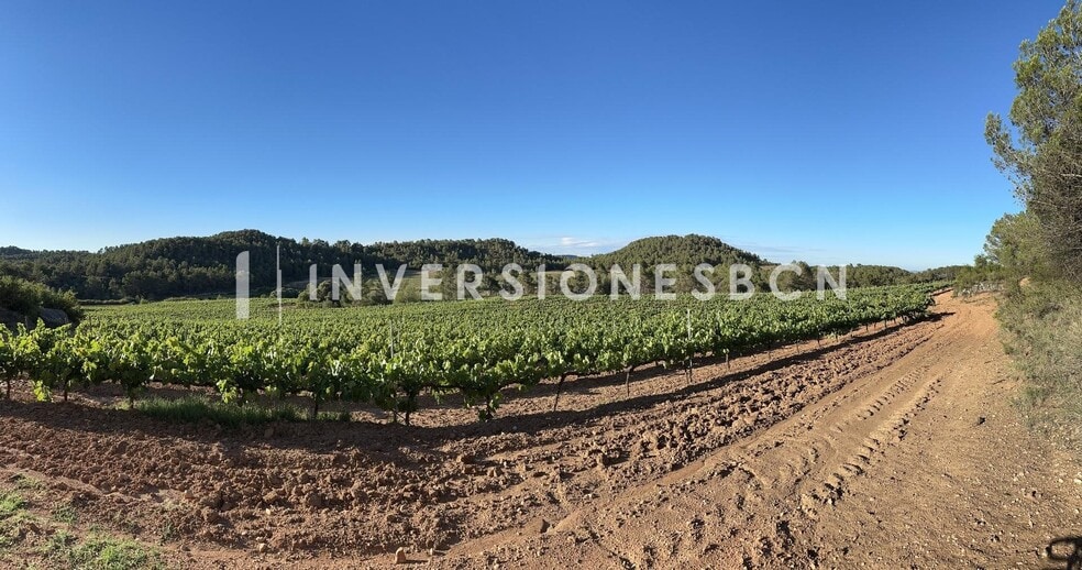 Terreno en Vimbodí i Poblet, Tarragona en venta - Otros - Imagen 1 de 8